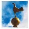 wv1yid80
