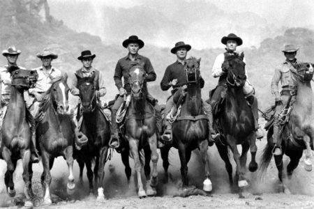 The magnificent seven a year on