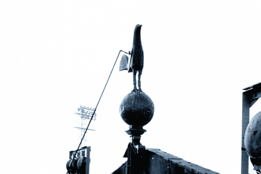 White Hart Lane special of The Fighting Cock fanzine is out now