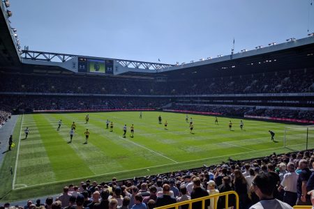 I am the very model of a modern Tottenham Hotspur fan