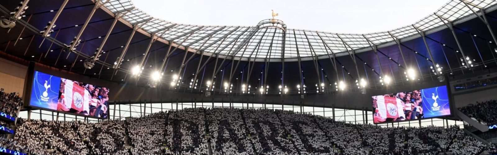 spursvajax The impact of the Y Word